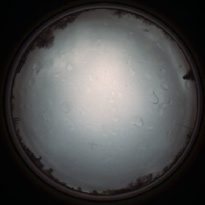 capture_202111290839_5515.Png