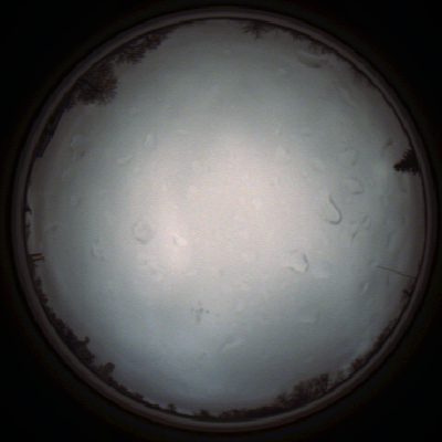 capture_202111290840_5516.Png