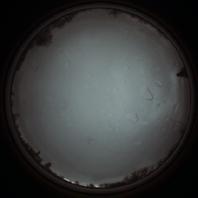 capture_202111290838_5514.Png