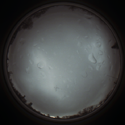 capture_202111290907_5543.Png