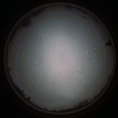 capture_202111290734_5450.Png