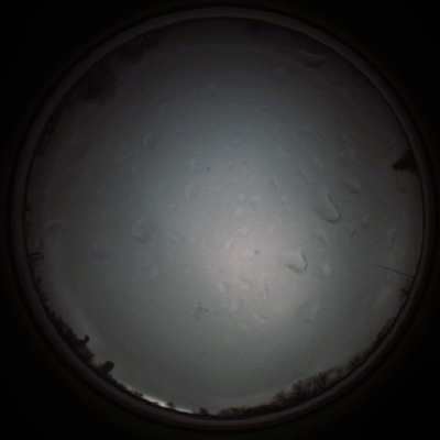 capture_202111290743_5459.Png