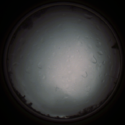 capture_202111290742_5458.Png