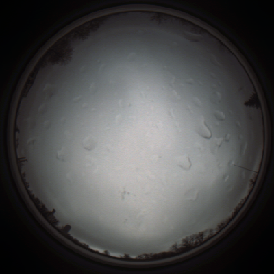 capture_202111290802_5478.Png