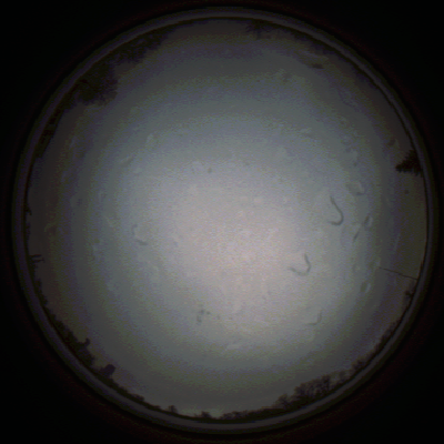 capture_202111290736_5452.Png