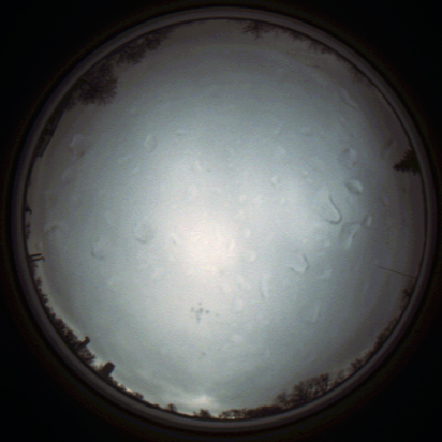 capture_202111290837_5513.Png