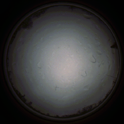 capture_202111290737_5453.Png