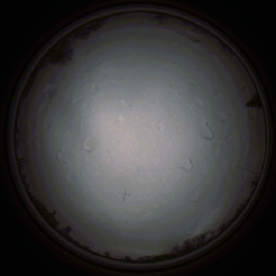 capture_202111290735_5451.Png
