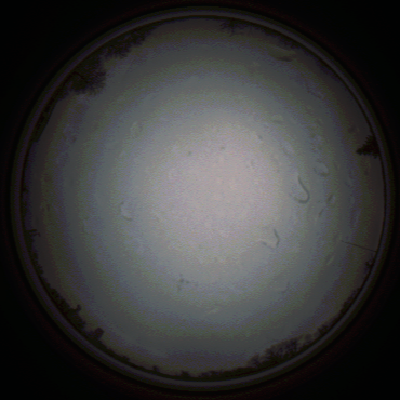 capture_202111290732_5448.Png
