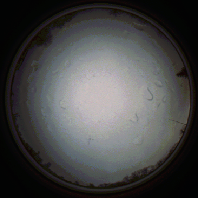capture_202111290740_5456.Png
