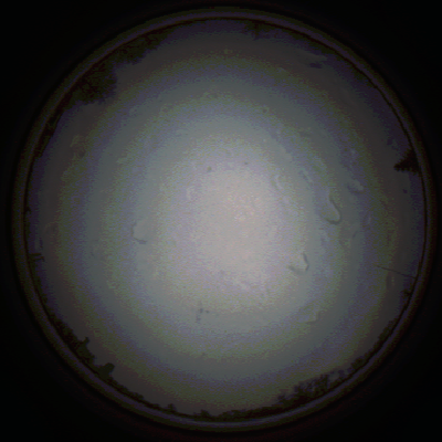 capture_202111290730_5445.Png