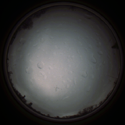 capture_202111290745_5461.Png