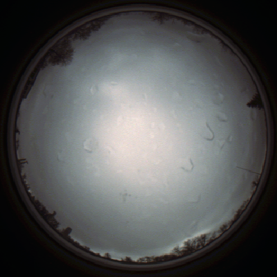capture_202111290908_5544.Png