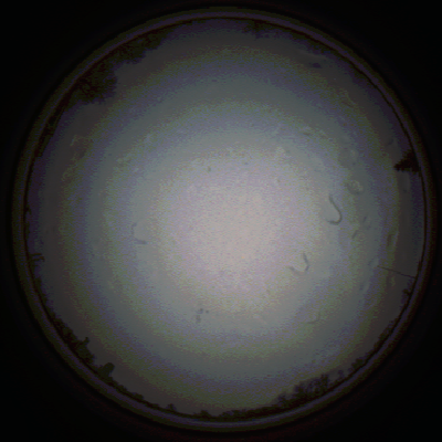 capture_202111290731_5447.Png