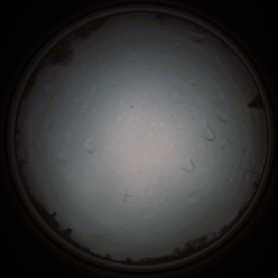 capture_202111290733_5449.Png