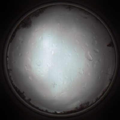 capture_202111290843_5519.Png