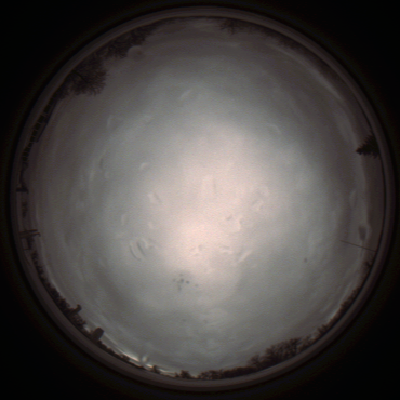 capture_202112010825_6603.Png