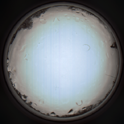 capture_202112011201_6819.Png