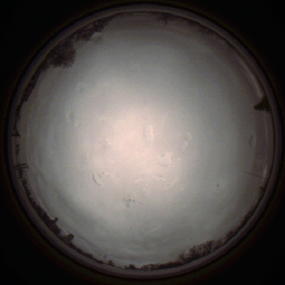 capture_202112010819_6597.Png