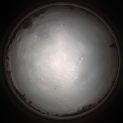 capture_202112010834_6612.Png