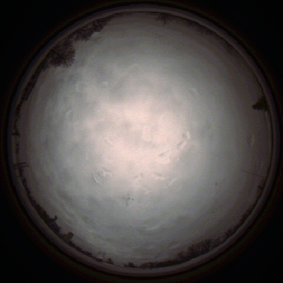 capture_202112010815_6593.Png