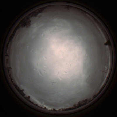 capture_202112010822_6600.Png
