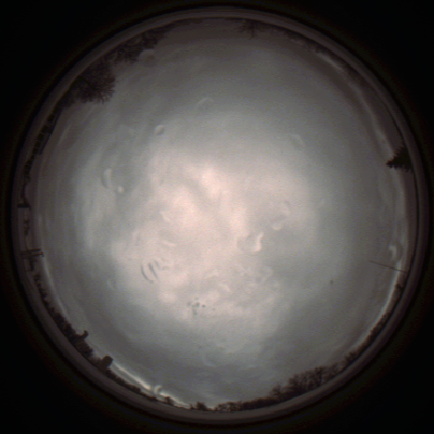 capture_202112010823_6601.Png