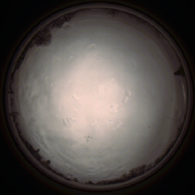 capture_202112010817_6595.Png