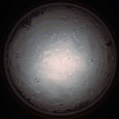 capture_202112020832_7161.Png