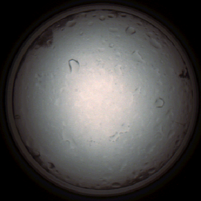 capture_202112021038_7288.Png