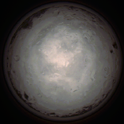 capture_202112020853_7183.Png