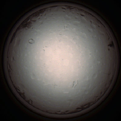 capture_202112020956_7246.Png