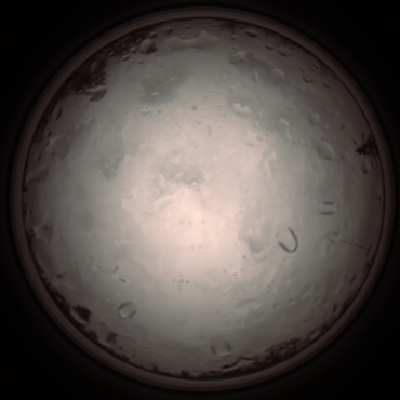 capture_202112020916_7208.Png