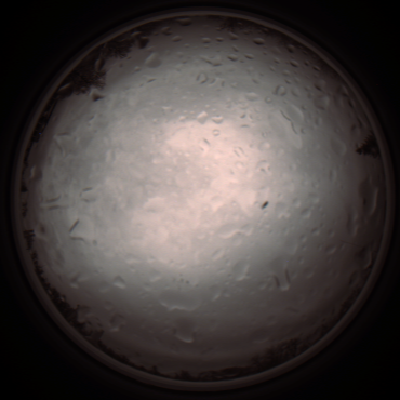 capture_202112020820_7151.Png