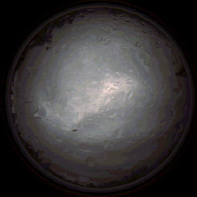 capture_202112020809_7142.Png