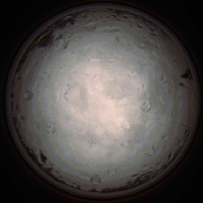 capture_202112020849_7179.Png