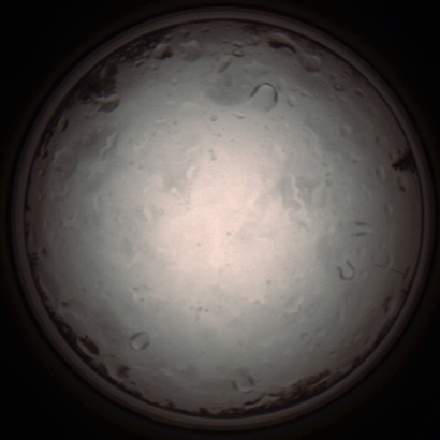capture_202112020914_7204.Png