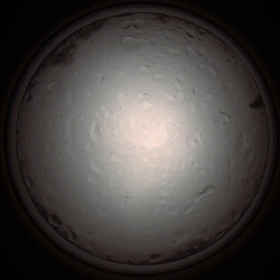 capture_202112020949_7240.Png
