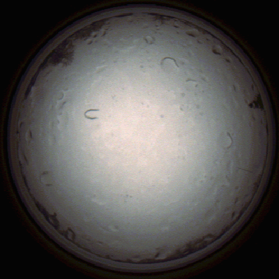 capture_202112021000_7250.Png