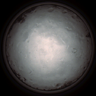 capture_202112021129_7341.Png