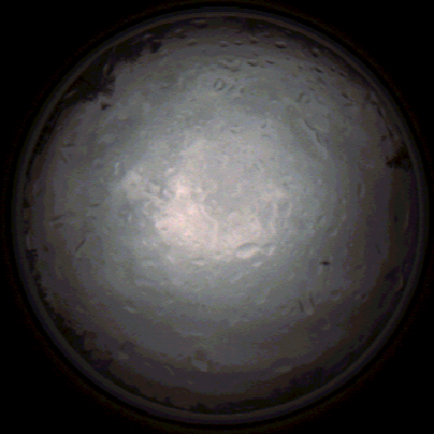capture_202112020813_7147.Png