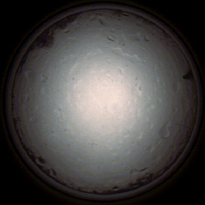 capture_202112020944_7234.Png