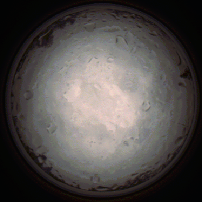 capture_202112020848_7178.Png
