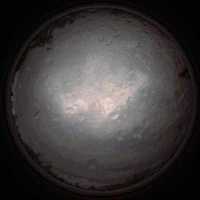capture_202112020809_7140.Png