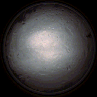 capture_202112020822_7154.Png