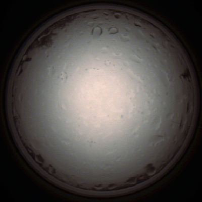 capture_202112020953_7243.Png