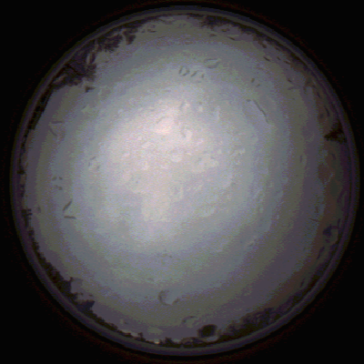 capture_202112020756_7126.Png