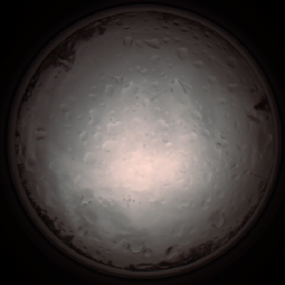 capture_202112020833_7165.Png