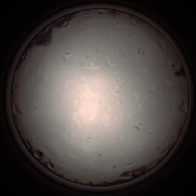 capture_202112020929_7224.Png