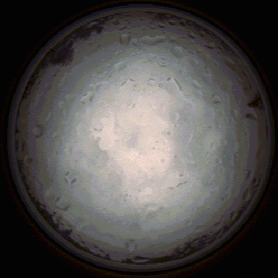 capture_202112020844_7174.Png